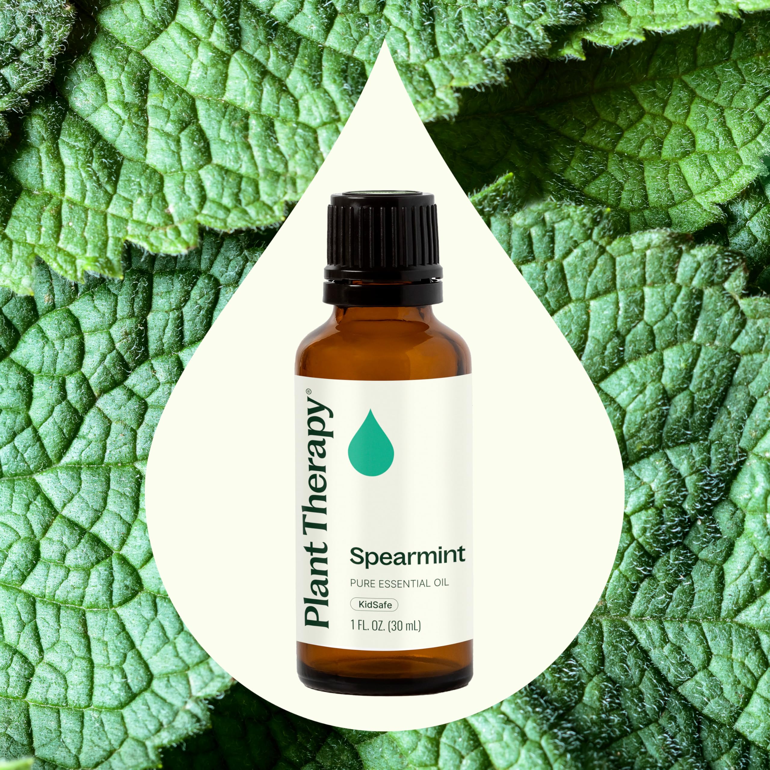 Plant Therapy gota de aceite sobre la mano mostrando textura y absorción