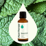 Plant Therapy gota de aceite sobre la mano mostrando textura y absorción