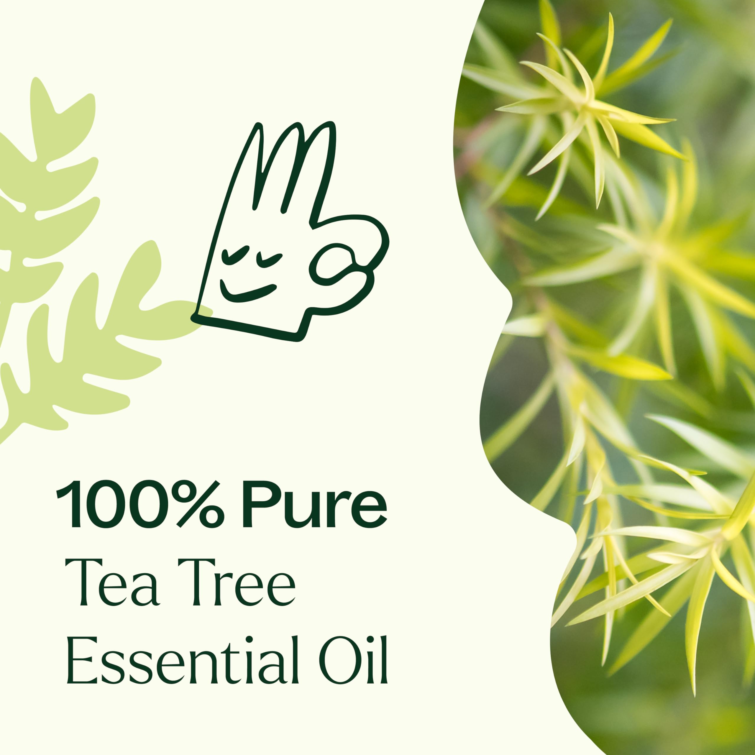 Etiqueta de Plant Therapy en primer plano resaltando nombre y pureza del aceite