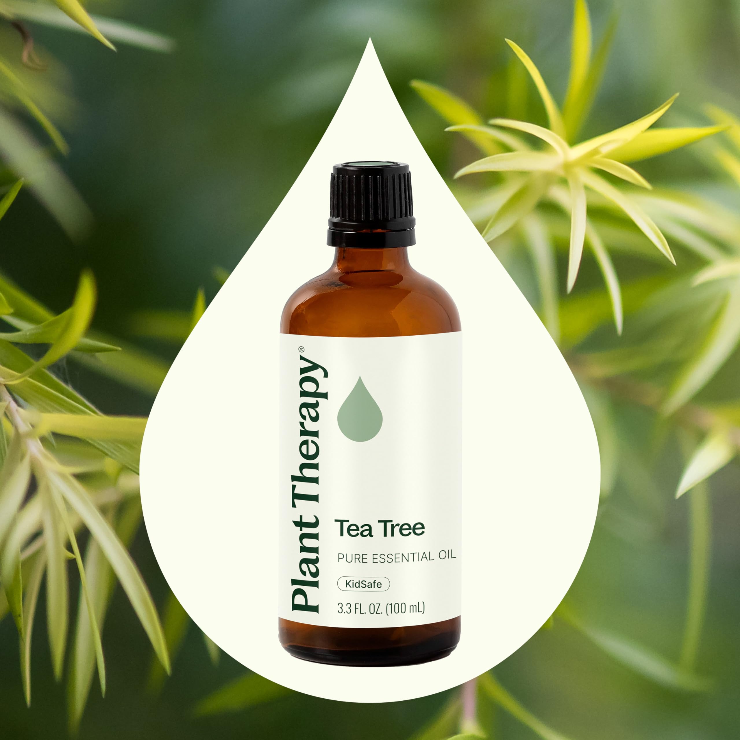 Frasco de 100 mL de Plant Therapy junto a una regla para comparar escala