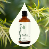 Frasco de 100 mL de Plant Therapy junto a una regla para comparar escala