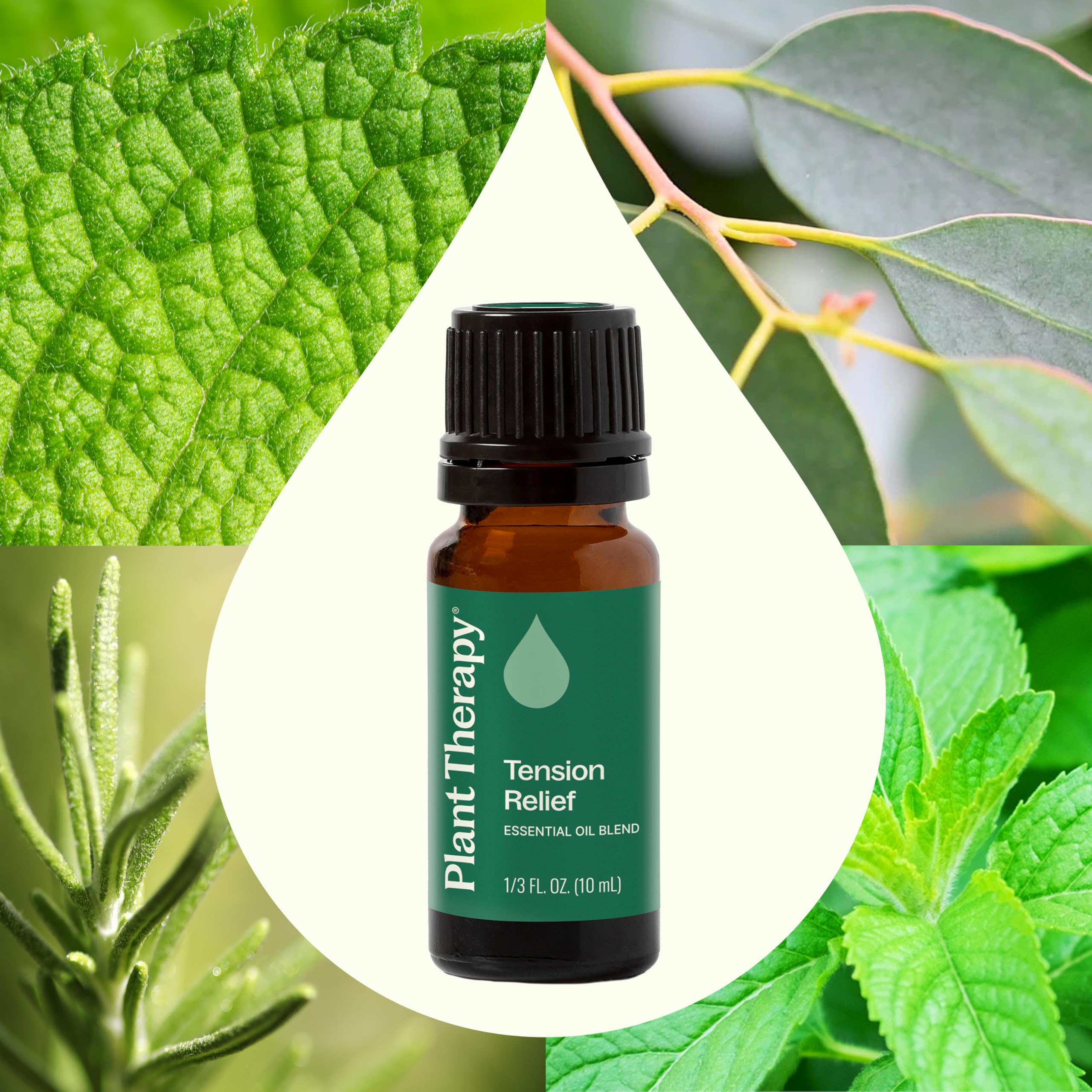 Plant Therapy textura del aceite con gota en cuenco, muestra consistencia y aspecto limpio