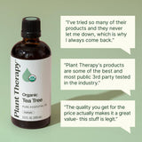 Plant Therapy gota de aceite de árbol de té en mano mostrando textura pura
