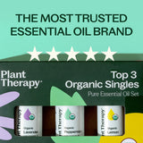 Plant Therapy gota en superficie mostrando pureza y textura del aceite