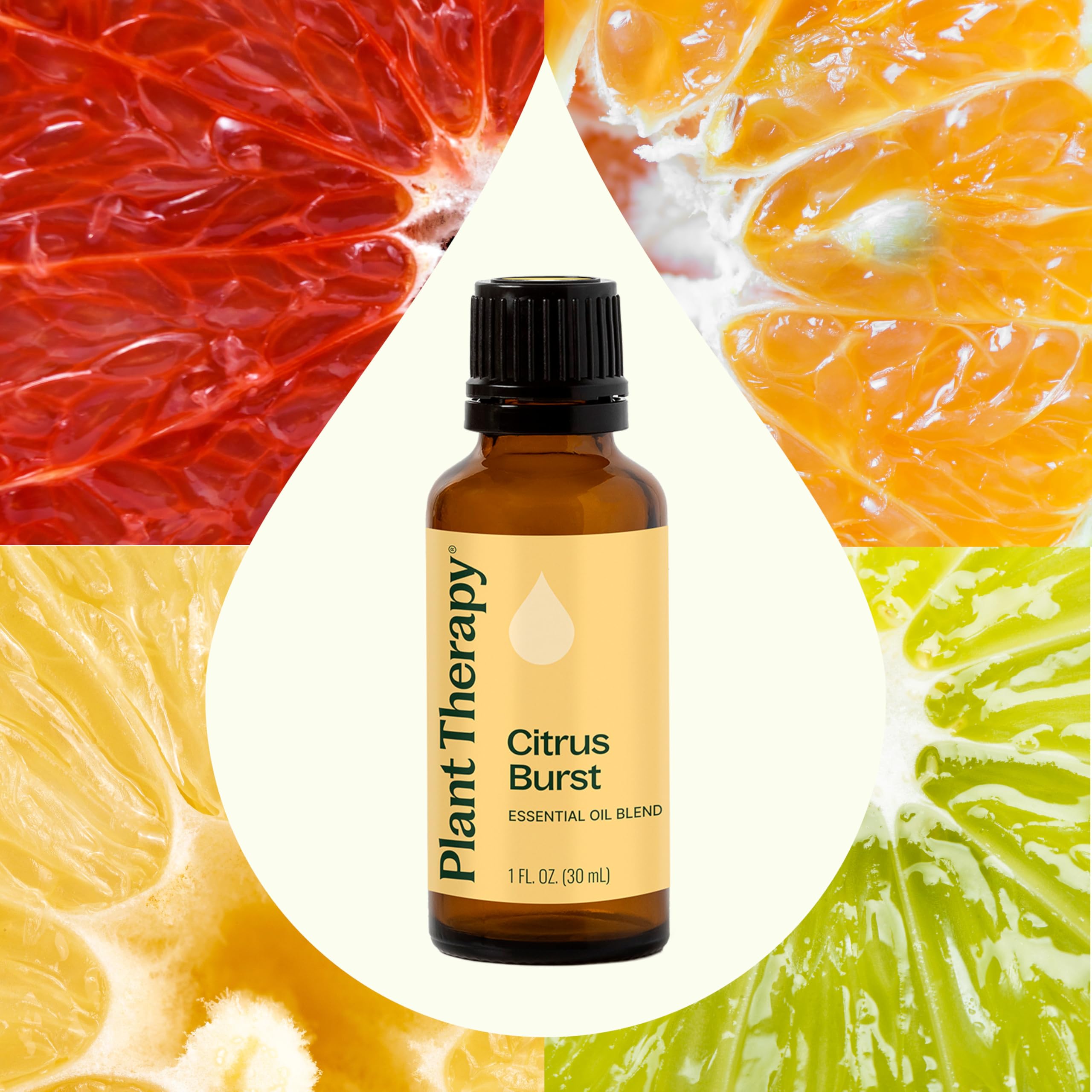 Plant Therapy gotas del aceite sobre madera que muestran textura y pureza