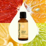 Plant Therapy gotas del aceite sobre madera que muestran textura y pureza