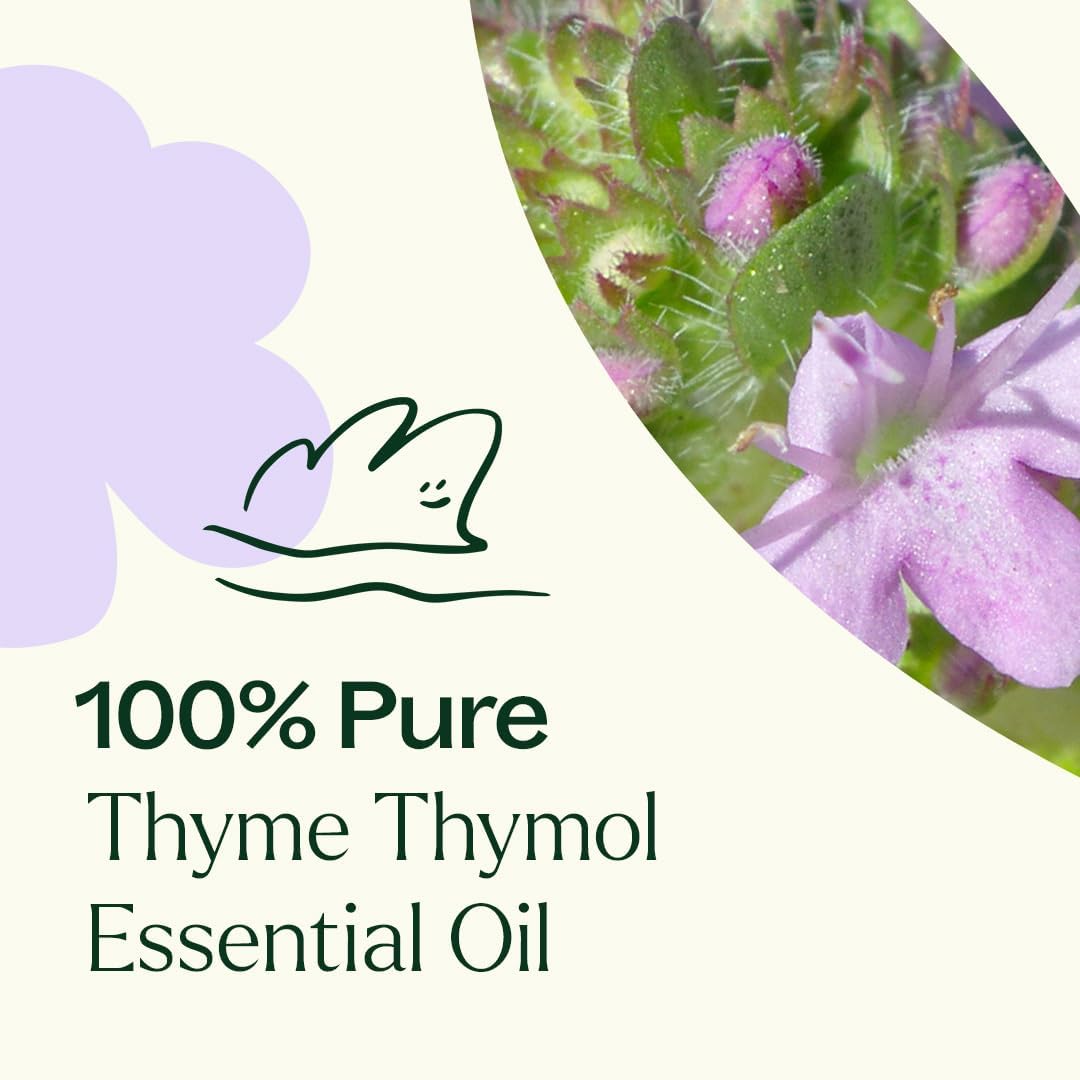 Plant Therapy Thyme Thymol diluido aplicado con aceite portador en piel segura