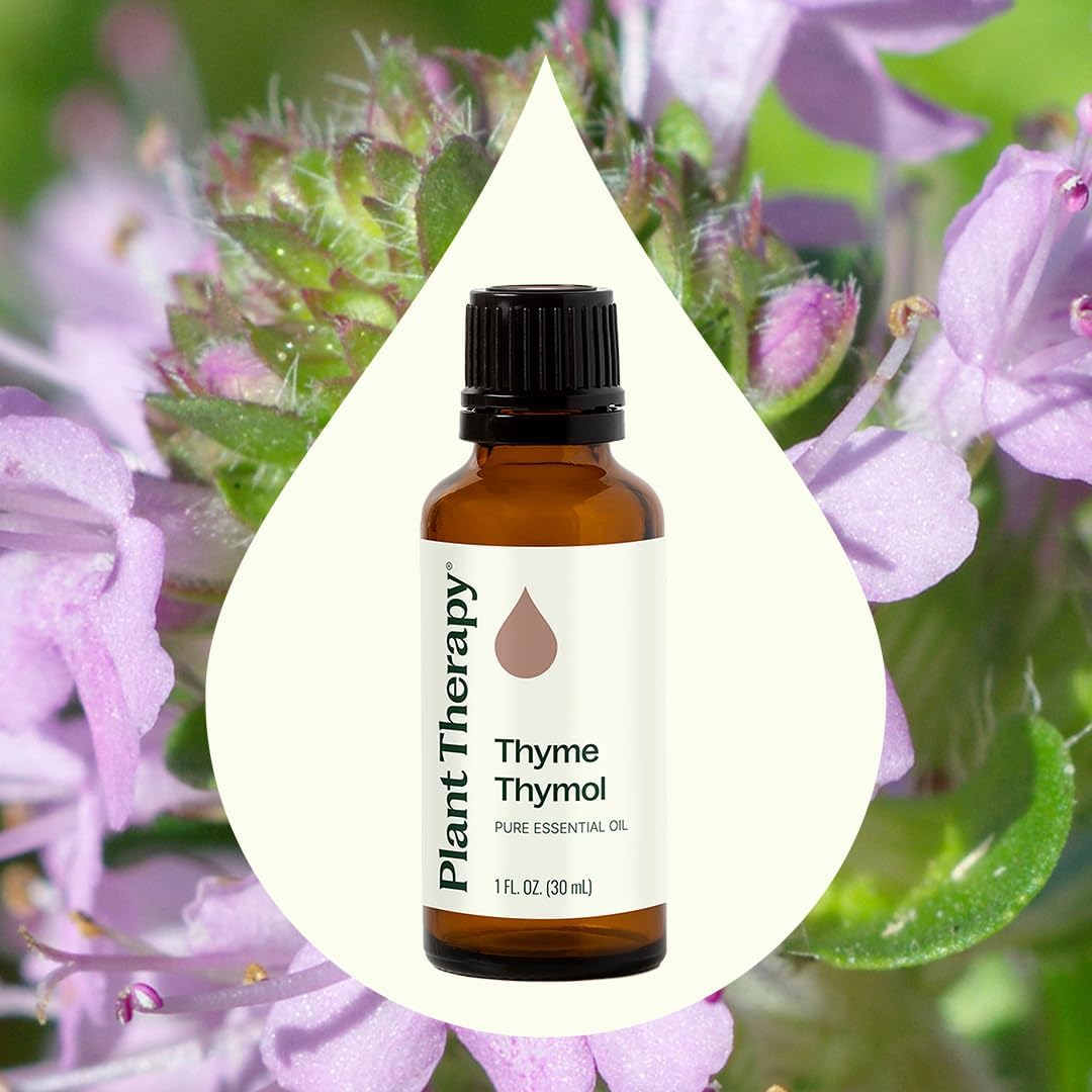 Plant Therapy gotas de Thyme Thymol en superficie que muestran textura y color