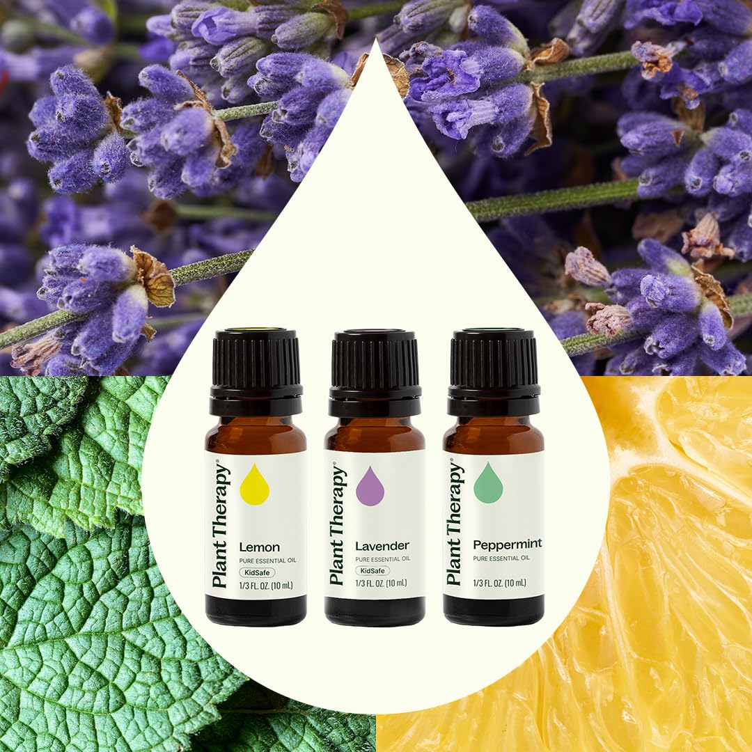 Plant Therapy difusor en sala con aroma cítrico para ambiente fresco