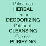 Plant Therapy aroma en difusor renovando el ambiente con fragancia fresca