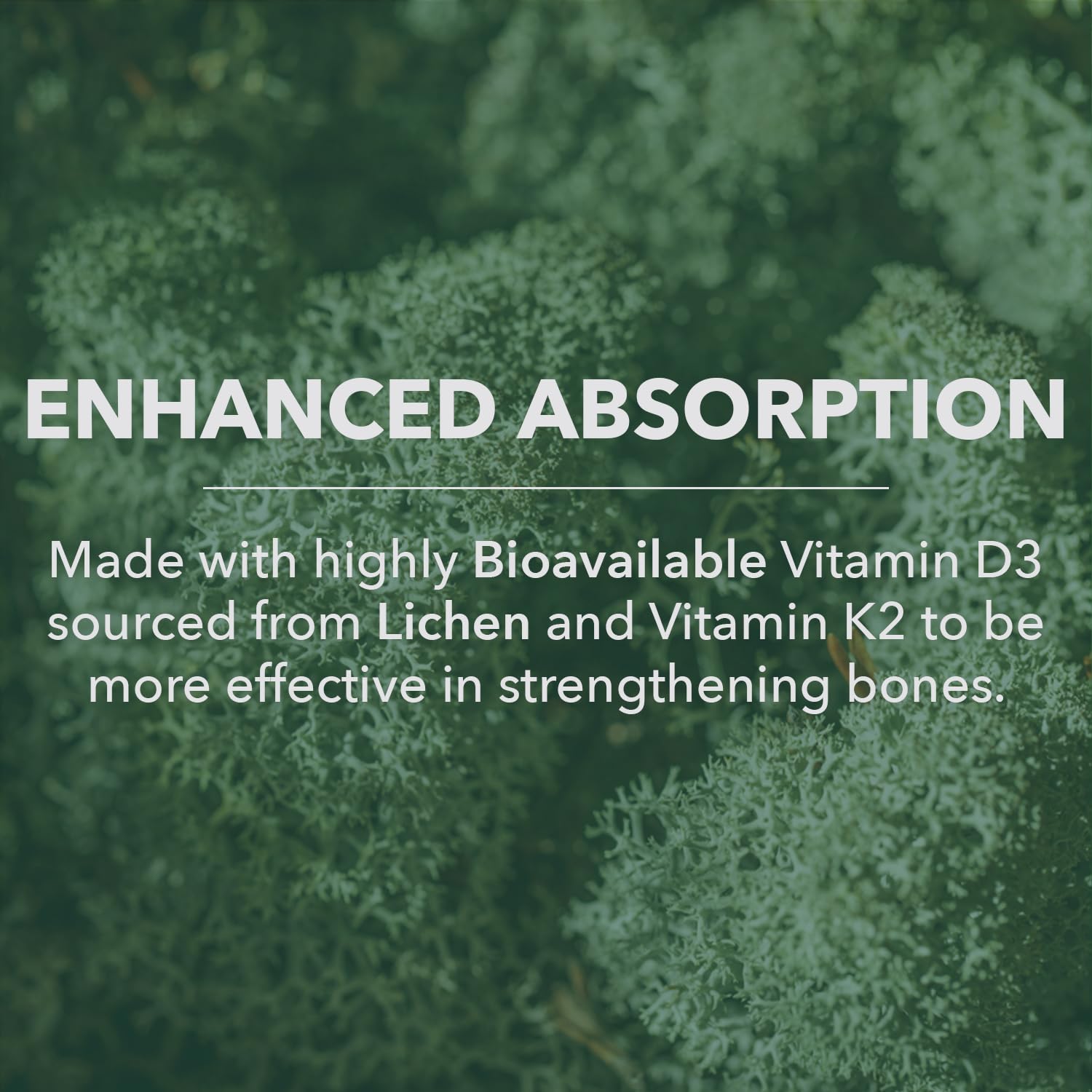 PlantFusion etiqueta nutricional legible indicando dosis por cápsula