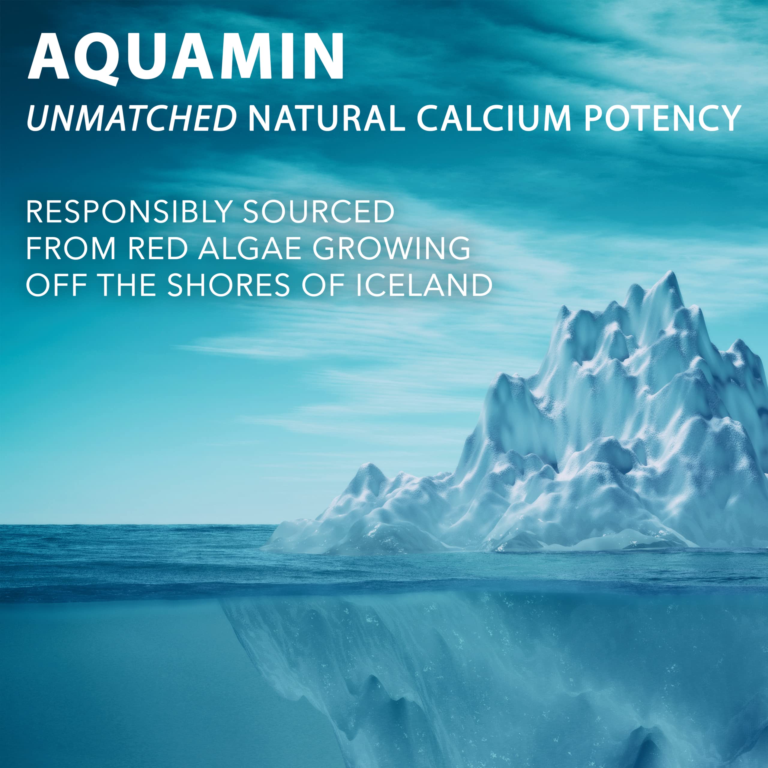 PlantFusion algas rojas islandesas crudas como fuente natural de calcio