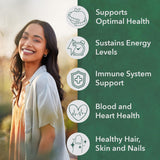 PlantFusion mezcla de moringa, amla y guayaba que ilustra ingredientes orgánicos