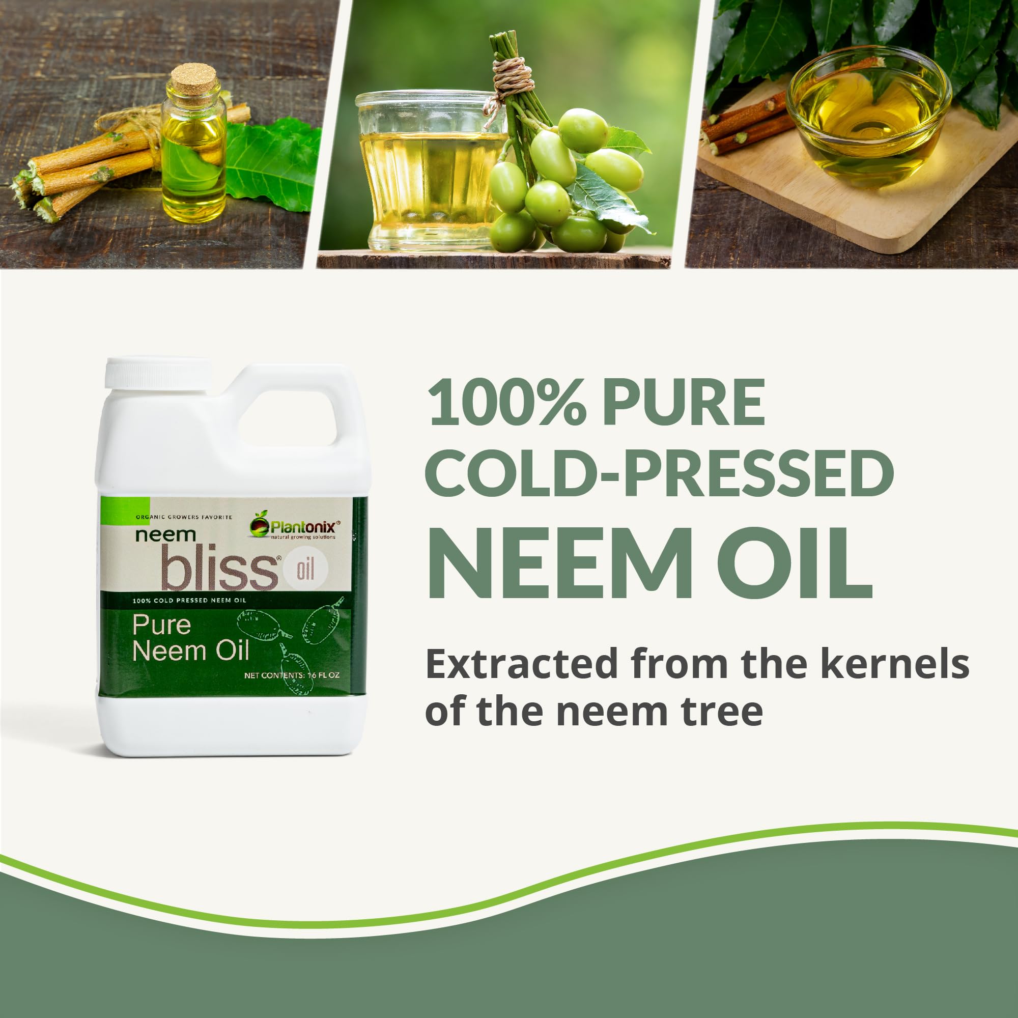 Textura densa de Plantonix Neem Bliss mostrando consistencia y nutrición
