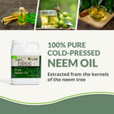 Textura densa de Plantonix Neem Bliss mostrando consistencia y nutrición