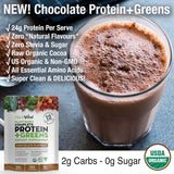 PlantVital surtido de superalimentos (kale, remolacha, espirulina) nutritivos