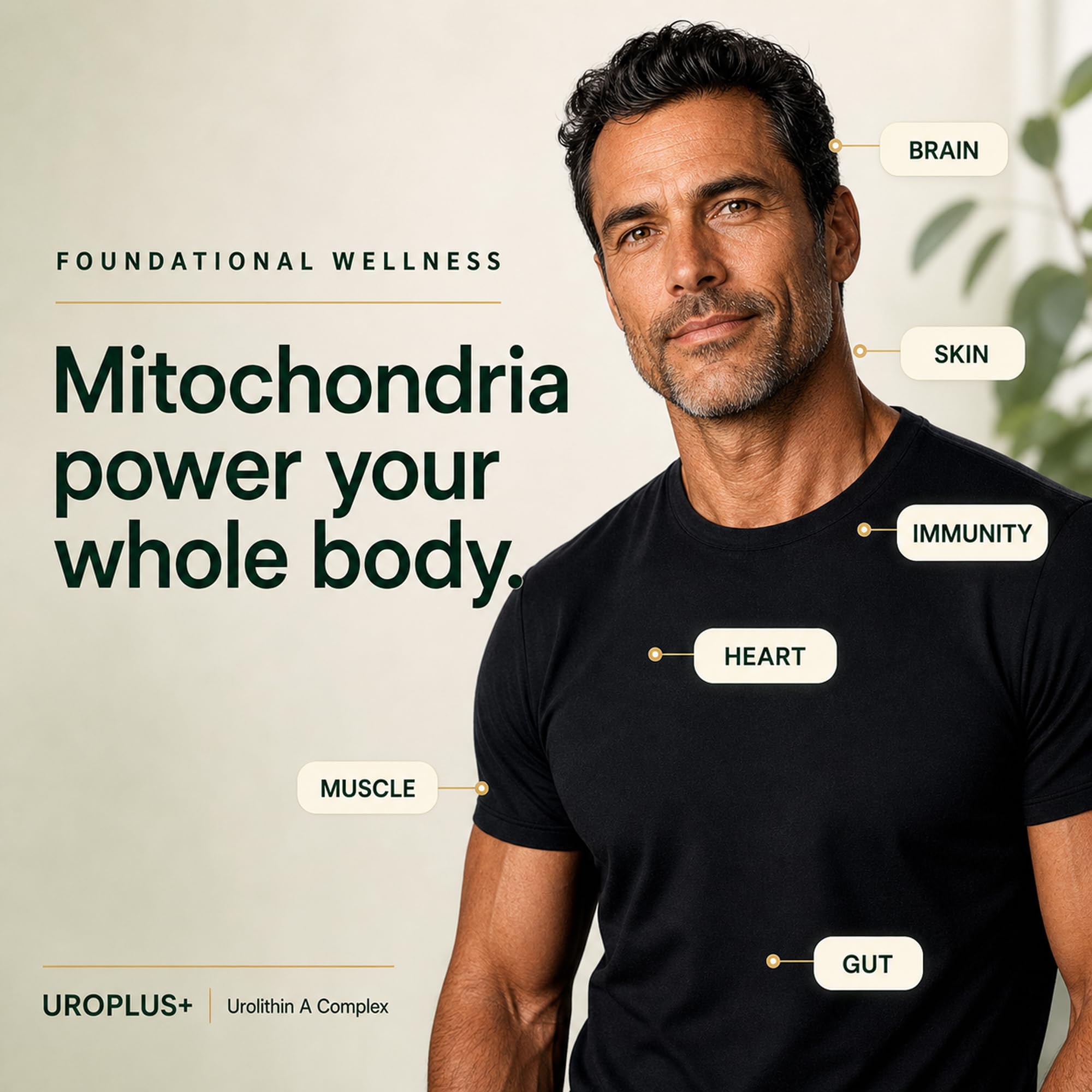 Plus+Ultra cápsula en primer plano destacando textura y entrega liposomal mejorada