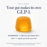 Plus+Ultra gummy en mano para mostrar escala y facilidad de consumo