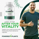 POWERED X PLANTS close-up de cápsulas para apreciar textura y pureza del producto