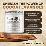 POWERED X PLANTS cucharada medidora con polvo, útil para control de dosis diaria