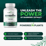 POWERED X PLANTS envase abierto con cápsulas para indicar comodidad de uso diario