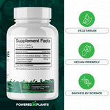 POWERED X PLANTS canela de Ceilán y berberina mostrando origen vegetal y antioxidantes