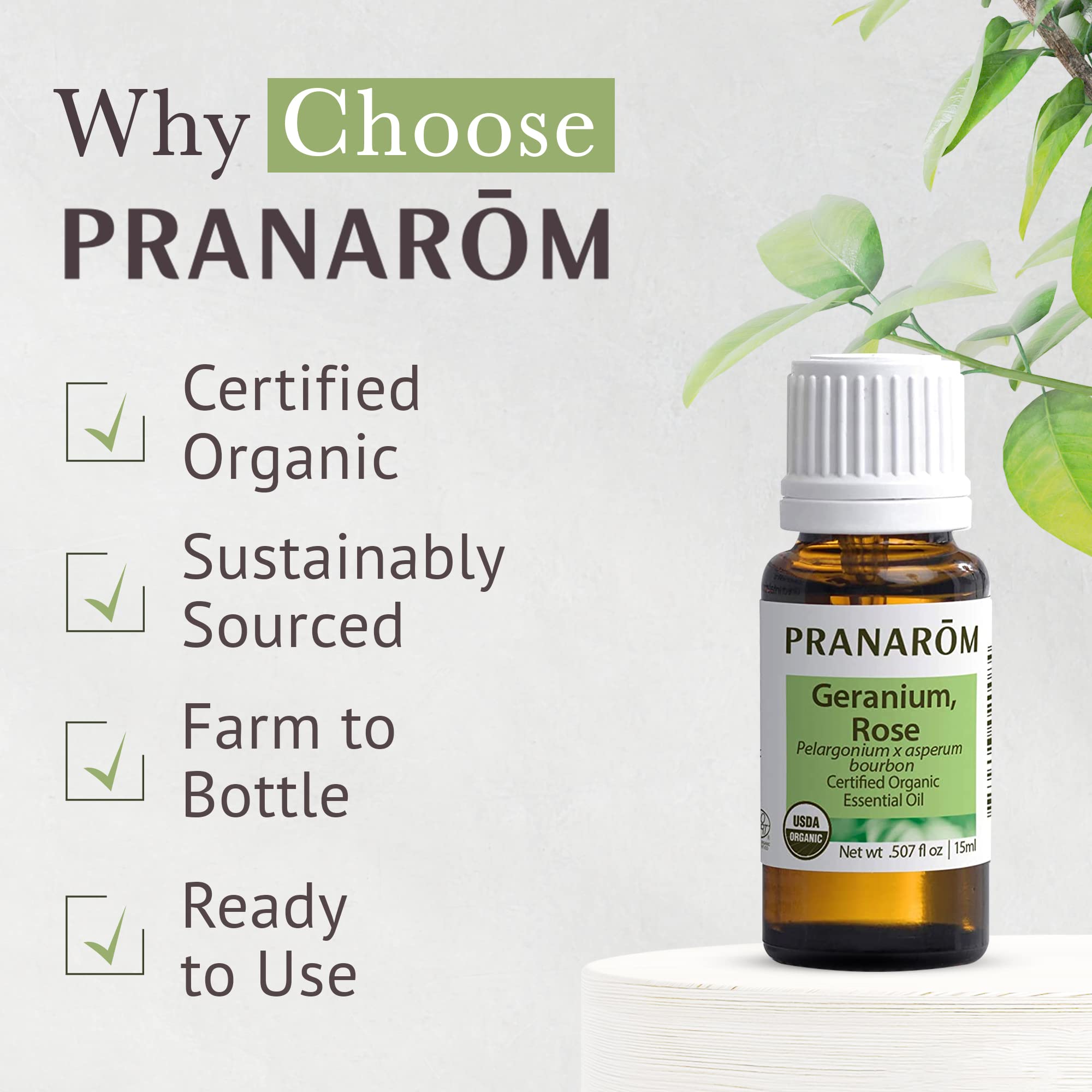 Pranarom geranio rosa en ambiente hogareño aportando aroma natural