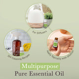 Comparación de tamaño Pranarom Helichrysum 2 ml junto a moneda, práctico y concentrado