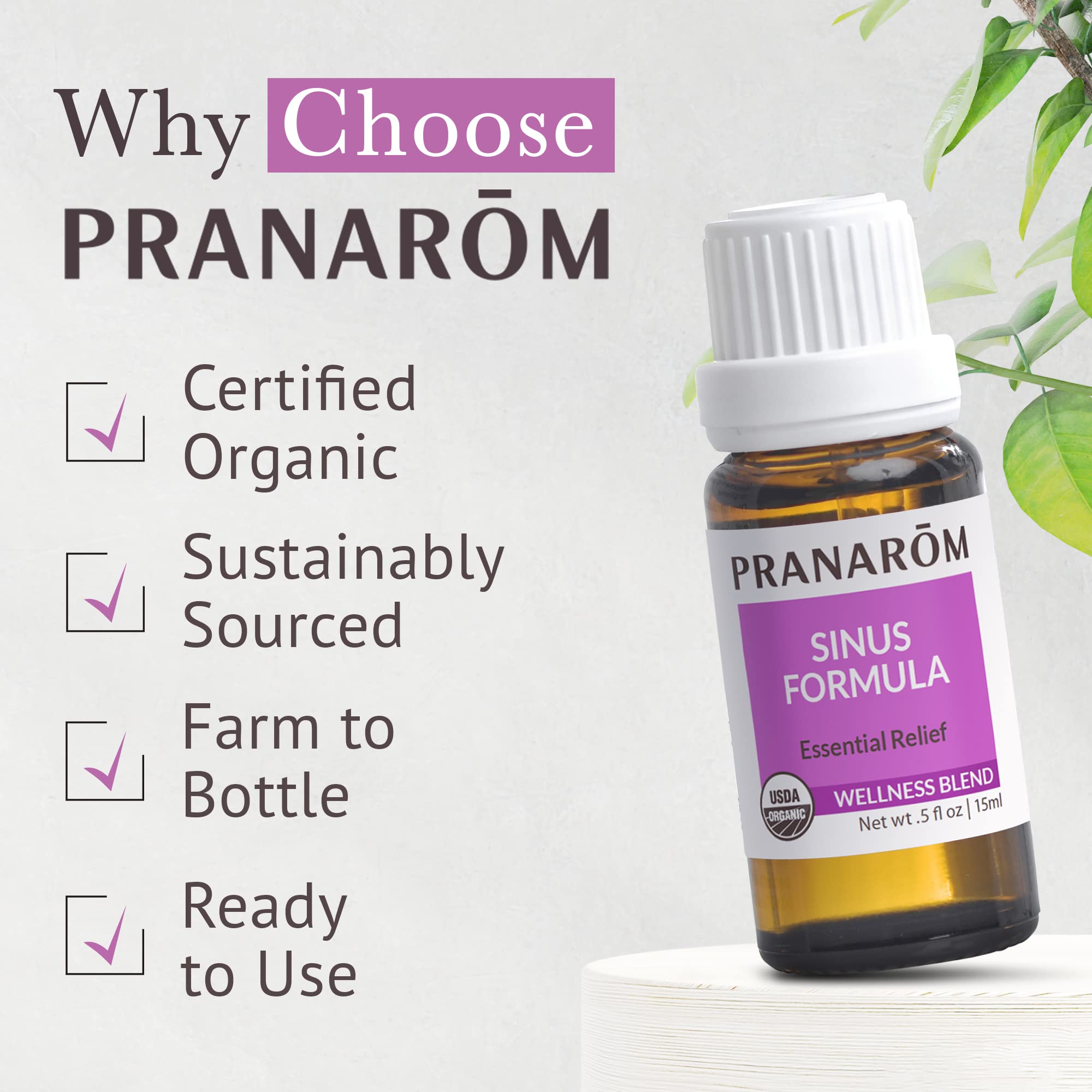 Pranarom en difusor ambiente creando aroma calmante y fresco