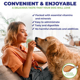 PREGNAPAWS perra lactando en ambiente de crianza, apoyo nutritivo