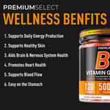 Premium Select Nutrition etiqueta de ingredientes destacando niacinamida 500mg
