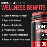 Premium Select Nutrition ingredientes activos Lion's Mane Ashwagandha L Theanine