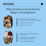 Prenatal Choline+ cápsula junto a moneda para comparar tamaño real