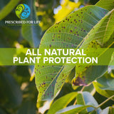 Prescribed For Life aplicación foliar en planta, mejora de potasio