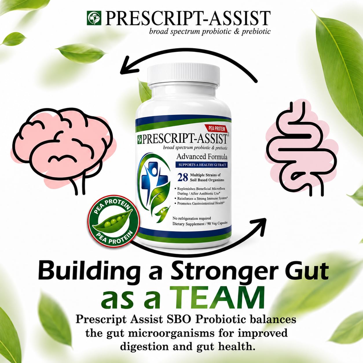 Polvo de proteína de guisante Prescript-Assist ingrediente prebiótico