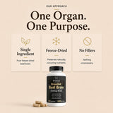 Primal Being proceso de liofilización representado para preservar nutrientes