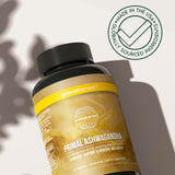 Primal Harvest producto en ambiente cotidiano para inspirar uso diario
