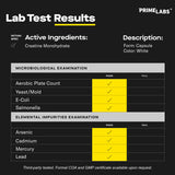 Prime Labs detalle del contenido de creatina en cápsula para pureza