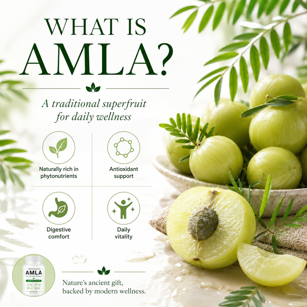 PRIMEHAVEN fruta Amla fresca para evidenciar origen natural y propiedades antioxidantes