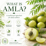 PRIMEHAVEN fruta Amla fresca para evidenciar origen natural y propiedades antioxidantes