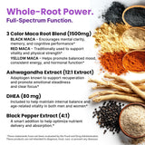PrimeMD polvo de maca en primer plano que resalta pureza orgánica