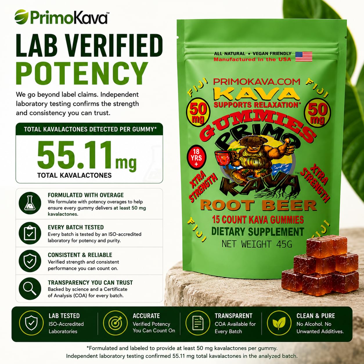 PRIMO KAVA raíz de kava de Fiyi mostrando origen noble y calidad del ingrediente