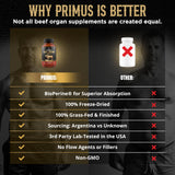 Revolution Science PRIMUS cápsula junto a regla para comparar tamaño