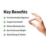 ProbioSlim cápsula abierta detalle para ver formato y dosificación