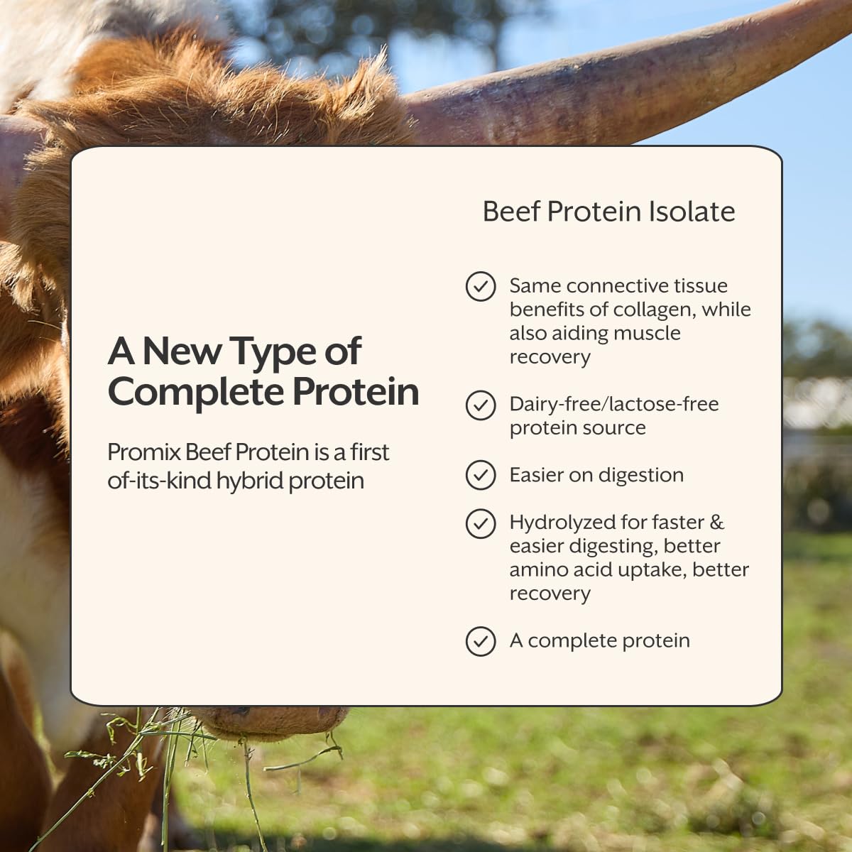 ProMix Nutrition cucharada medidora con polvo para control fácil de porciones