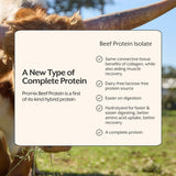 ProMix Nutrition cucharada medidora con polvo para control fácil de porciones