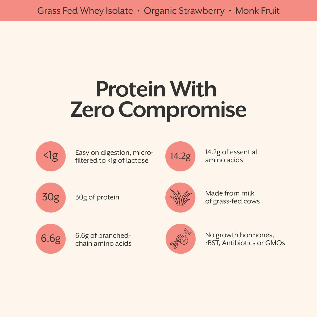 ProMix Nutrition detalle de la textura del polvo, finura que facilita mezcla rápida