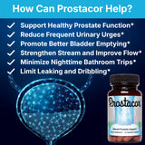 Prostacor etiqueta con lista de ingredientes clave legible y clara