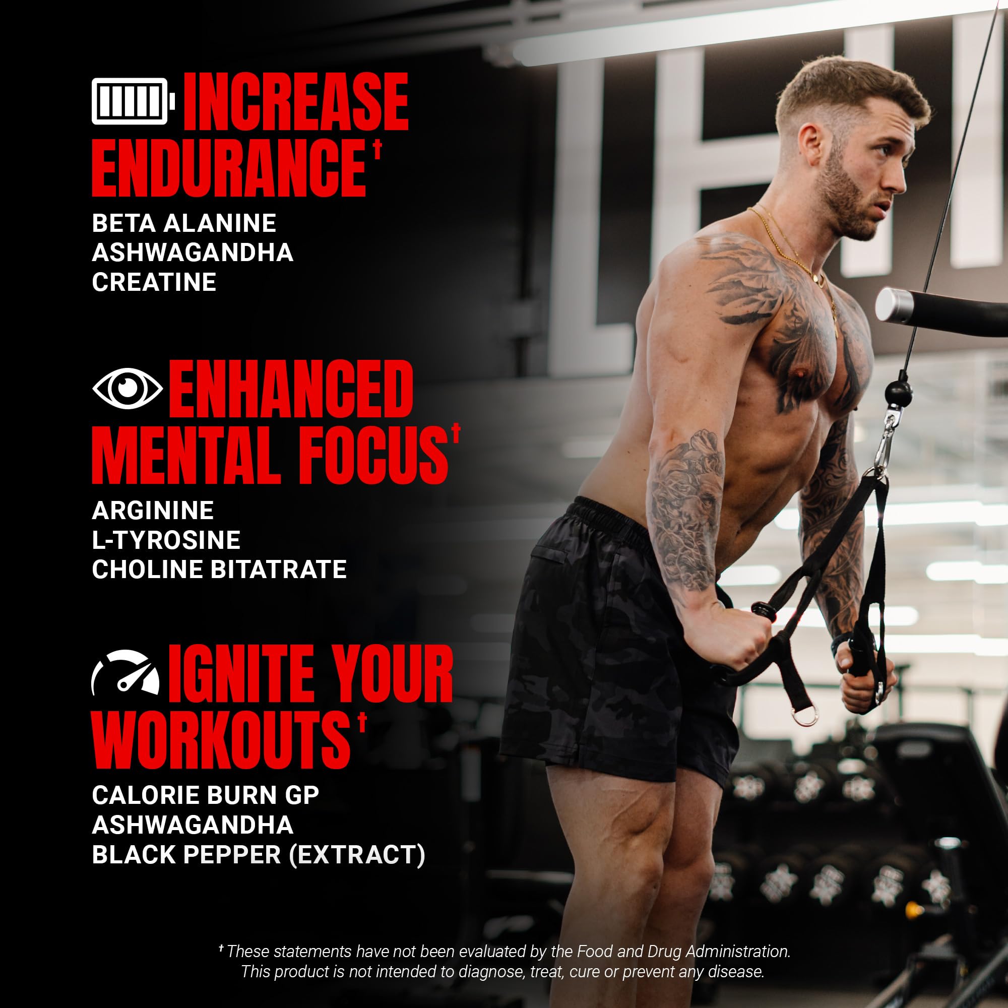 ProSupps etiqueta de ingredientes listando creatina, beta-alanina y nooLVL