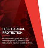 PROTOCOL FOR LIFE BALANCE sello GMP A-Rated indicando control de calidad
